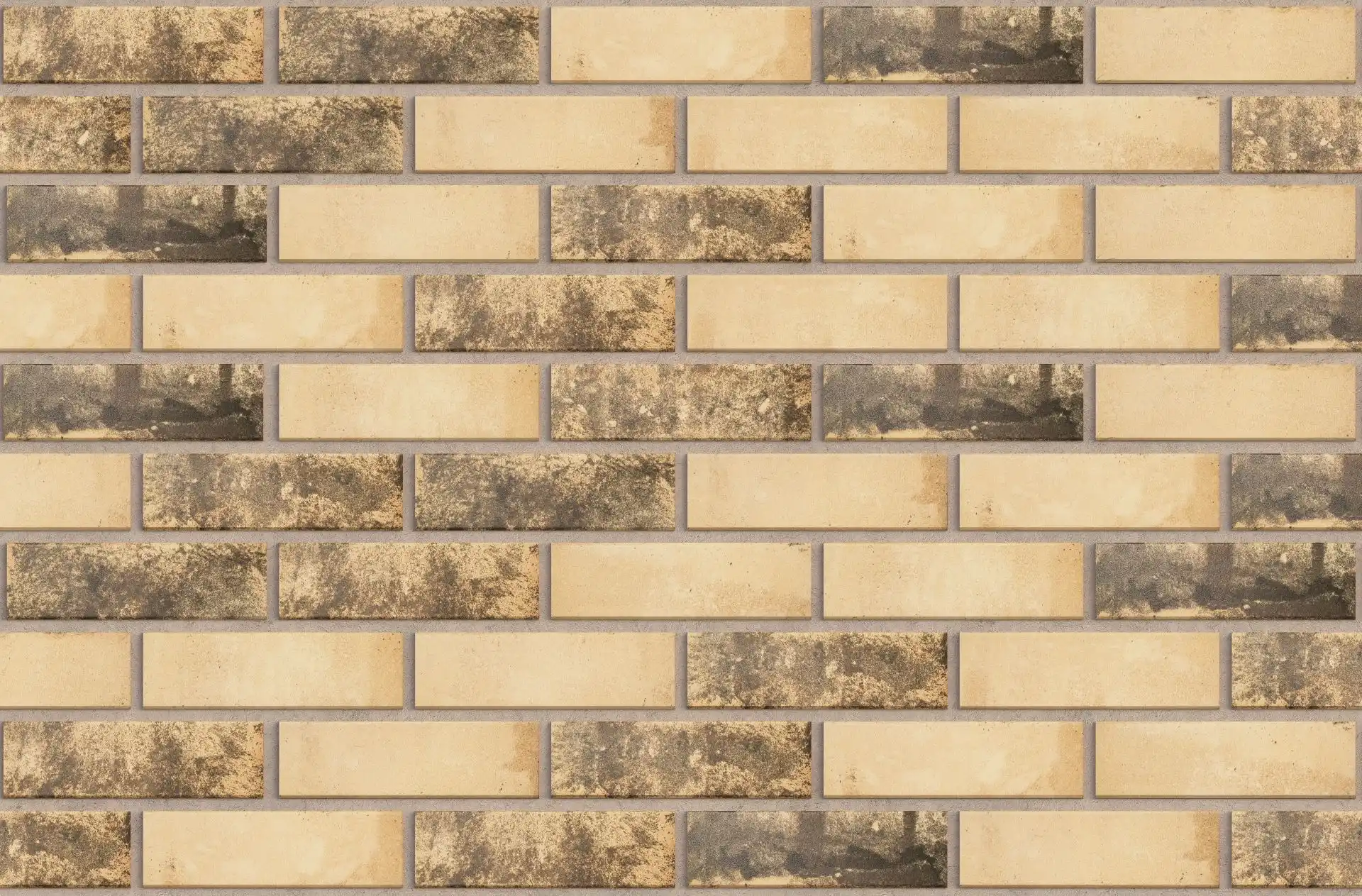 Caramida aparenta Cemacon Selene C112L1, crem, interior/exterior, 240x71x9
